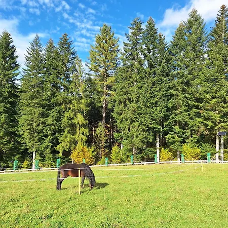 W Klisiowkach * Ujsoły