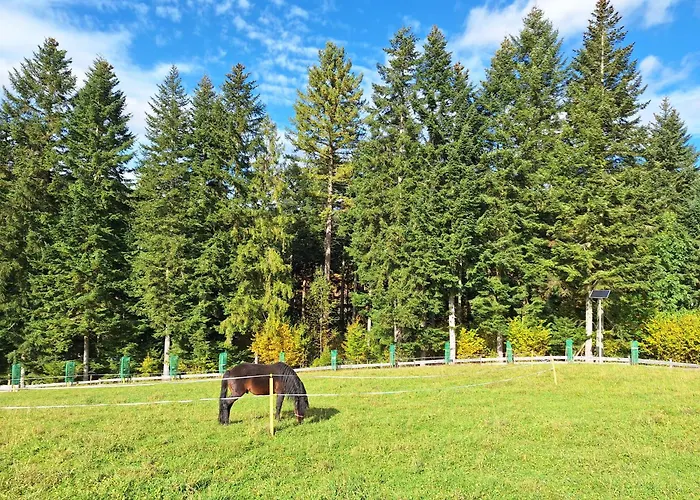 W Klisiowkach * Ujsoły